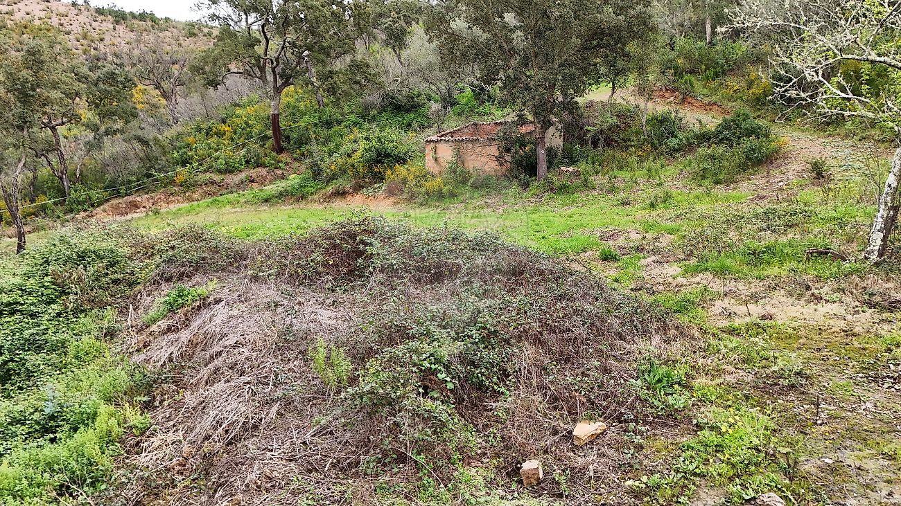 Apartamento à venda em Odemira