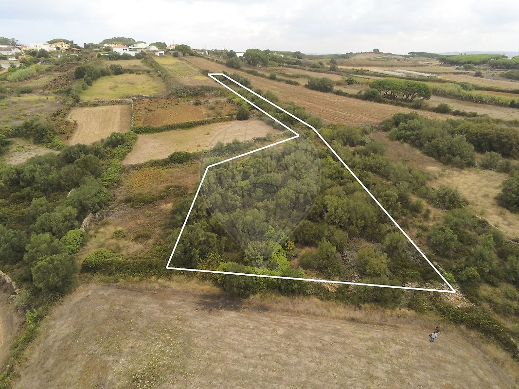 Terreno  à venda em Monte Arroio