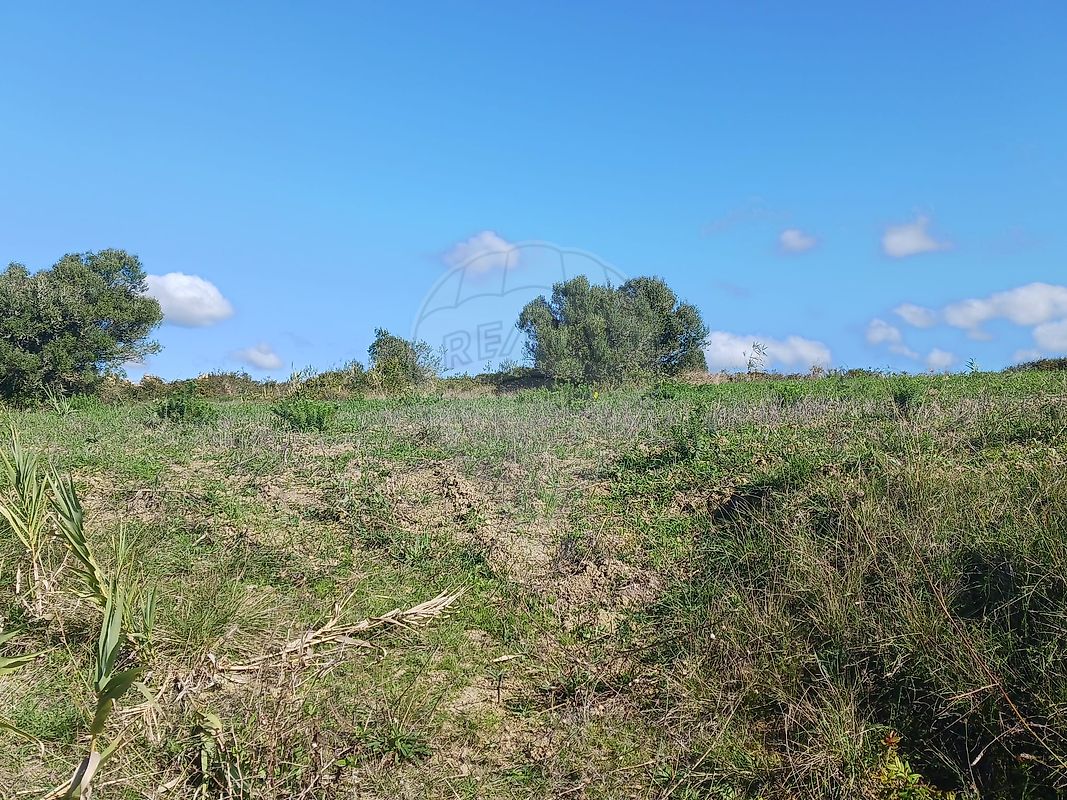 Terreno  à venda em Assafora