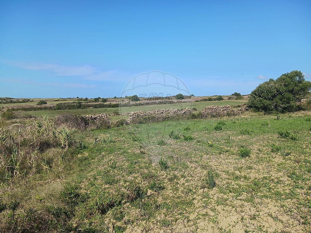 Terreno  à venda em Assafora