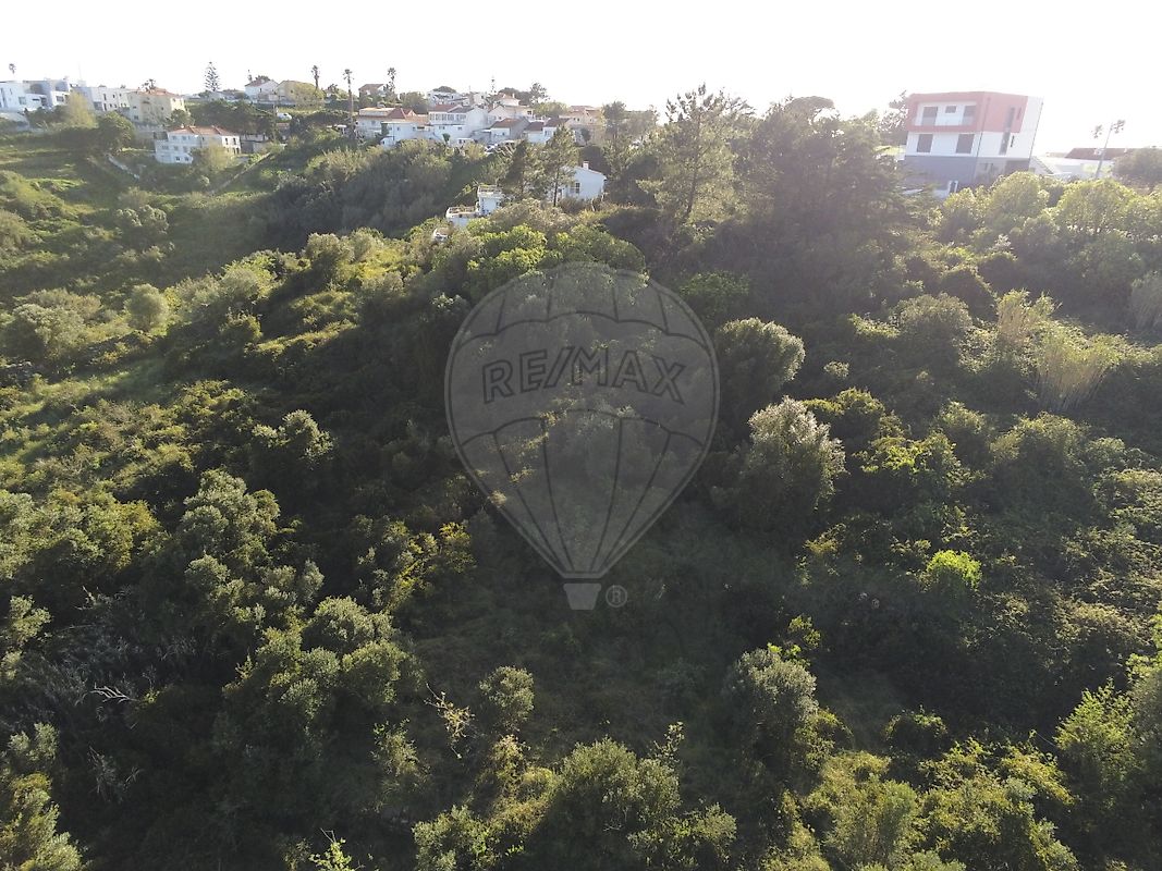Terreno  à venda em Baleia