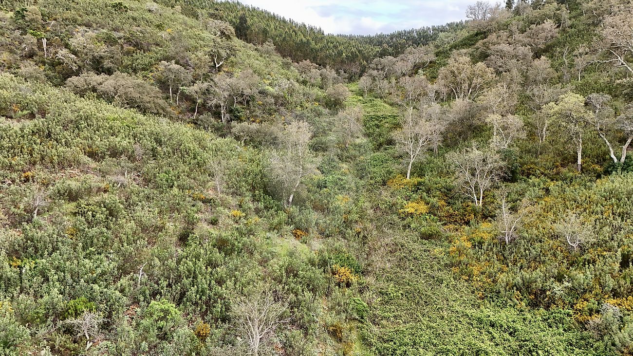 Terreno para venda