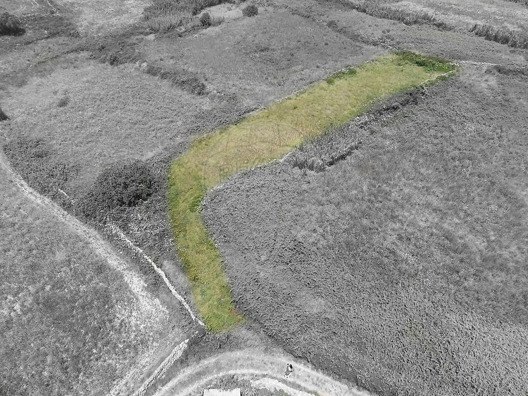 Terreno  à venda em Catribana