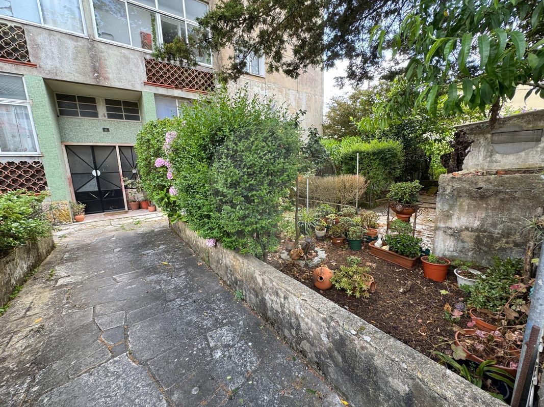 listing 125541068-9 picture-0
