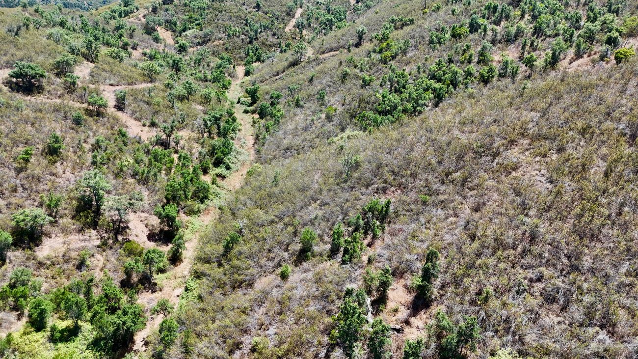 Terreno  para venda