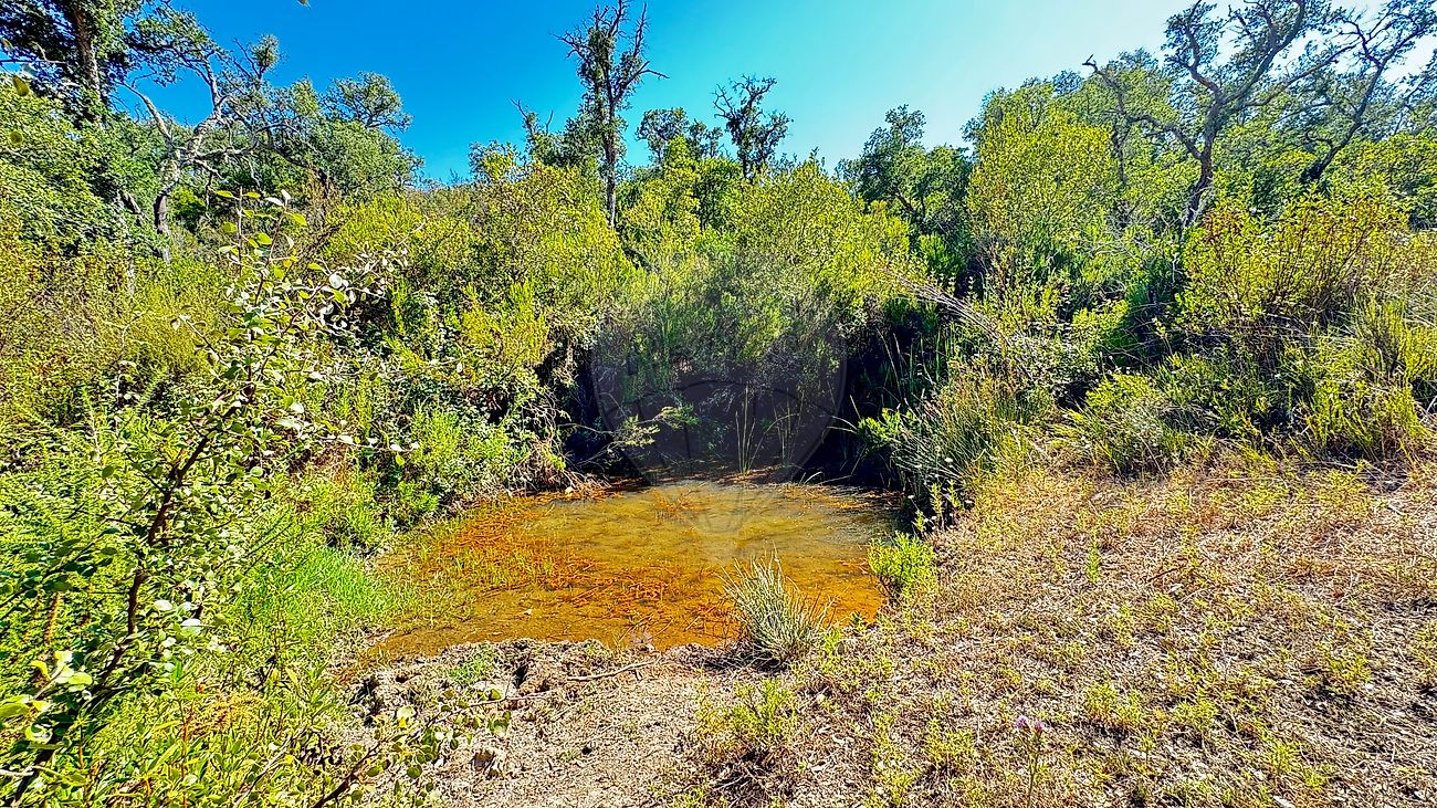 Terreno  para venda
