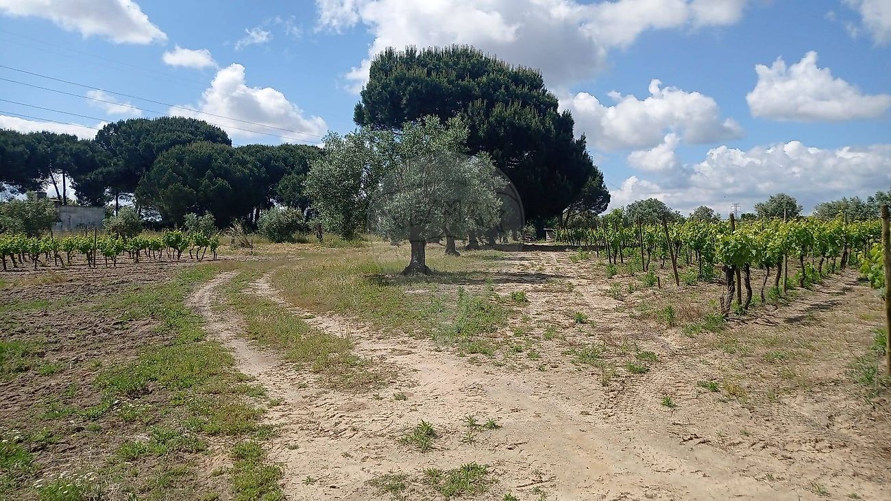 Terreno para venda
