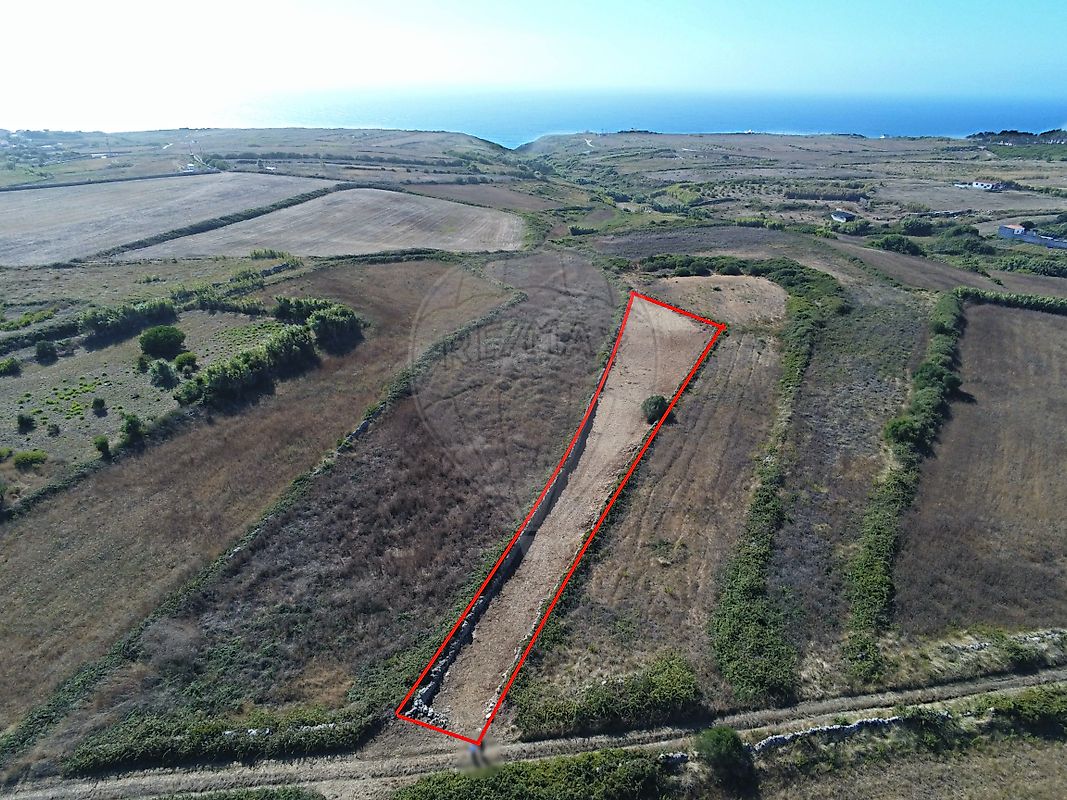 Terreno  à venda em Cortesia