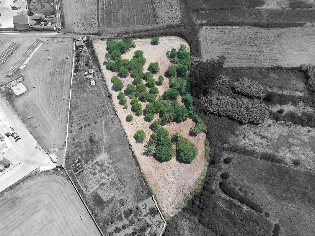 Terreno  à venda em Assafora