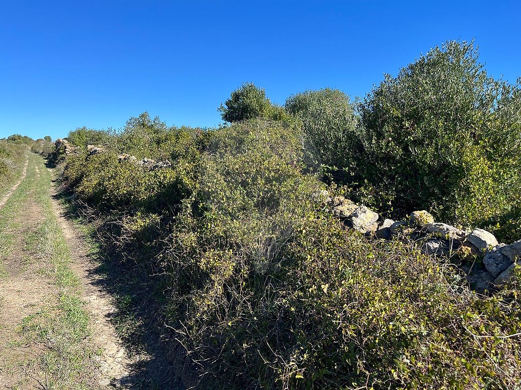 Terreno à venda em Sintra