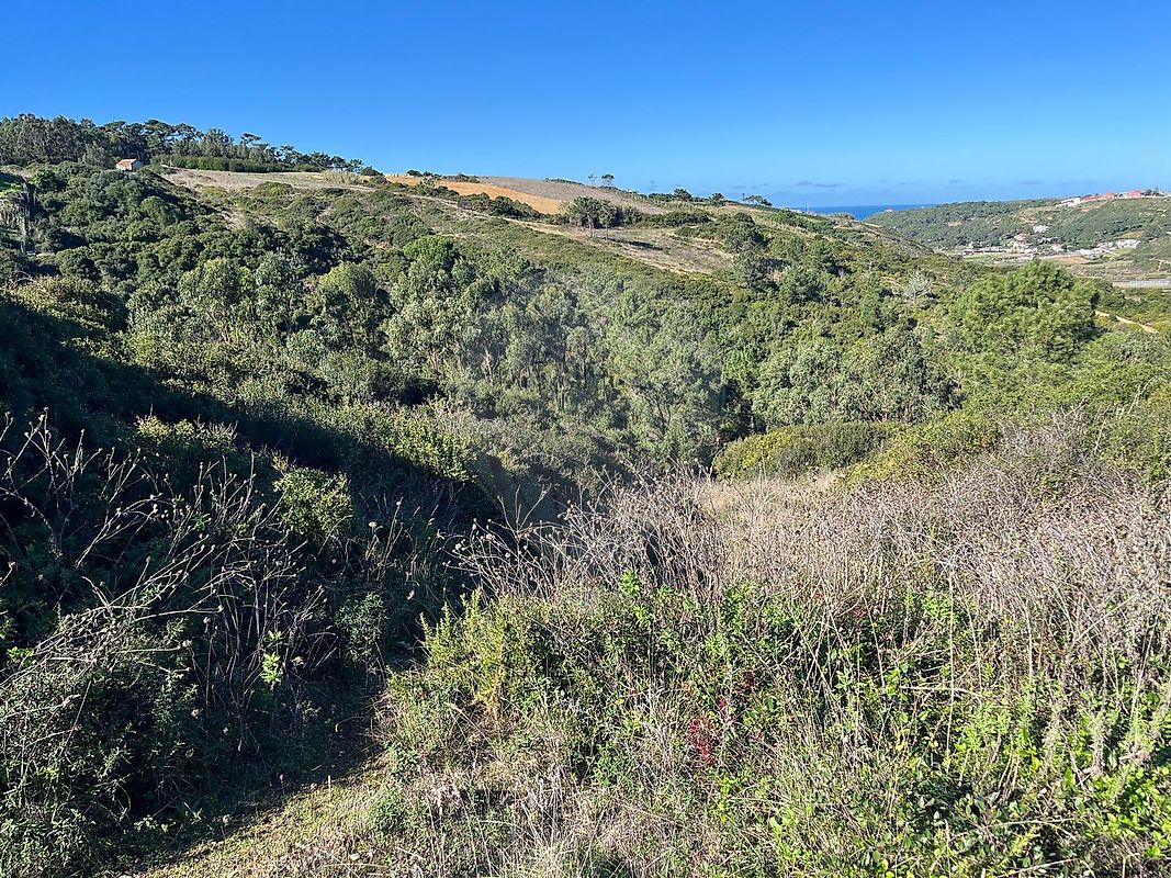 Terreno à venda em Sintra