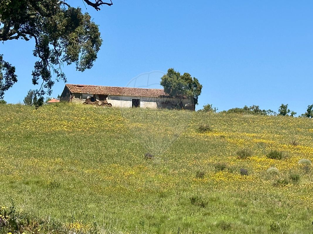 Quinta - São Teotónio, Odemira, Beja