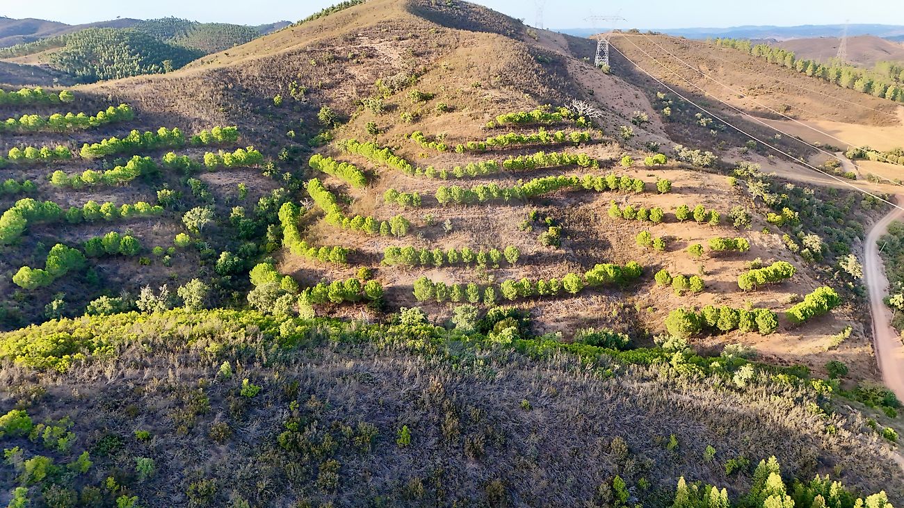 Quinta para venda