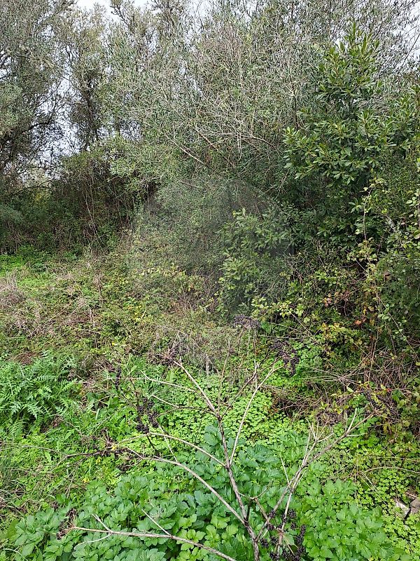 Terreno à venda em Sintra
