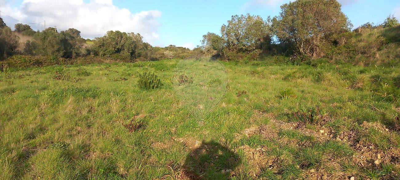 Terreno à venda em Sintra