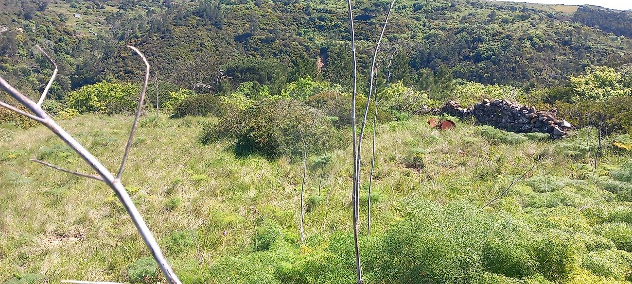Terreno à venda em Mafra