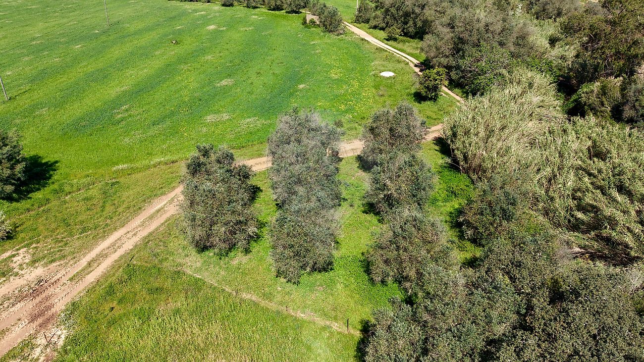 Terreno - Santa Clara-a-Velha, Odemira, Beja