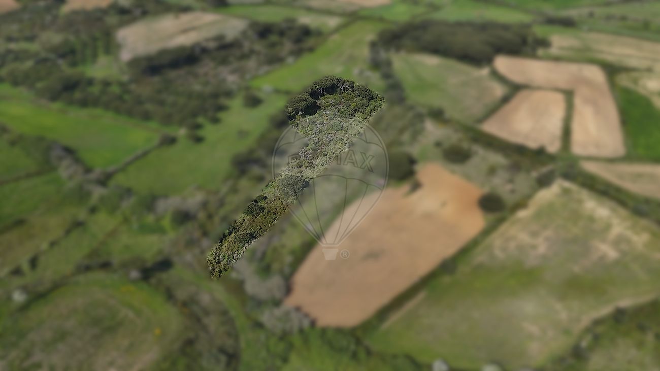 Terreno à venda em Sintra