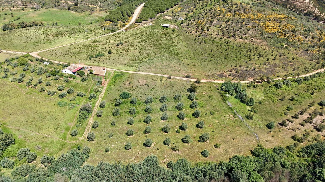 Terreno - Santa Clara-a-Velha, Odemira, Beja