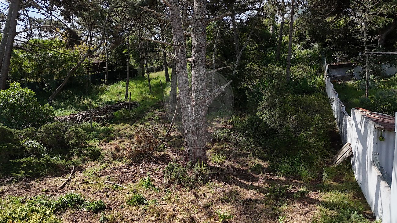 Terreno à venda em Sintra