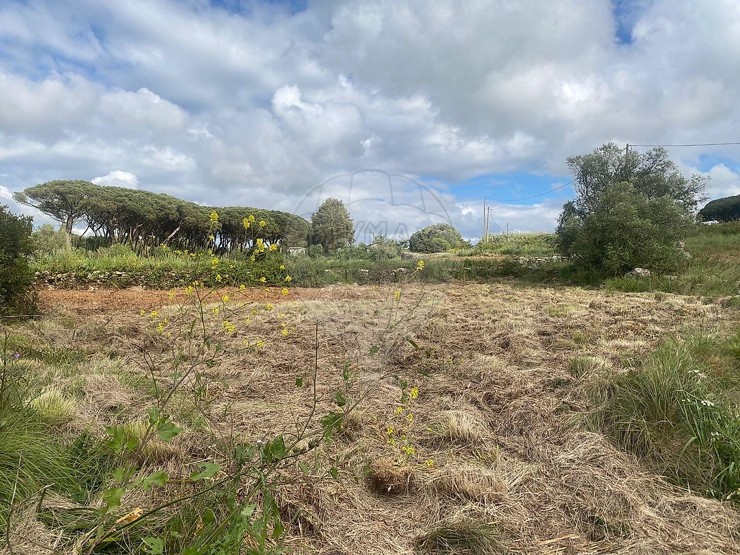 Terreno - São João das Lampas e Terrugem, Sintra, Lisboa