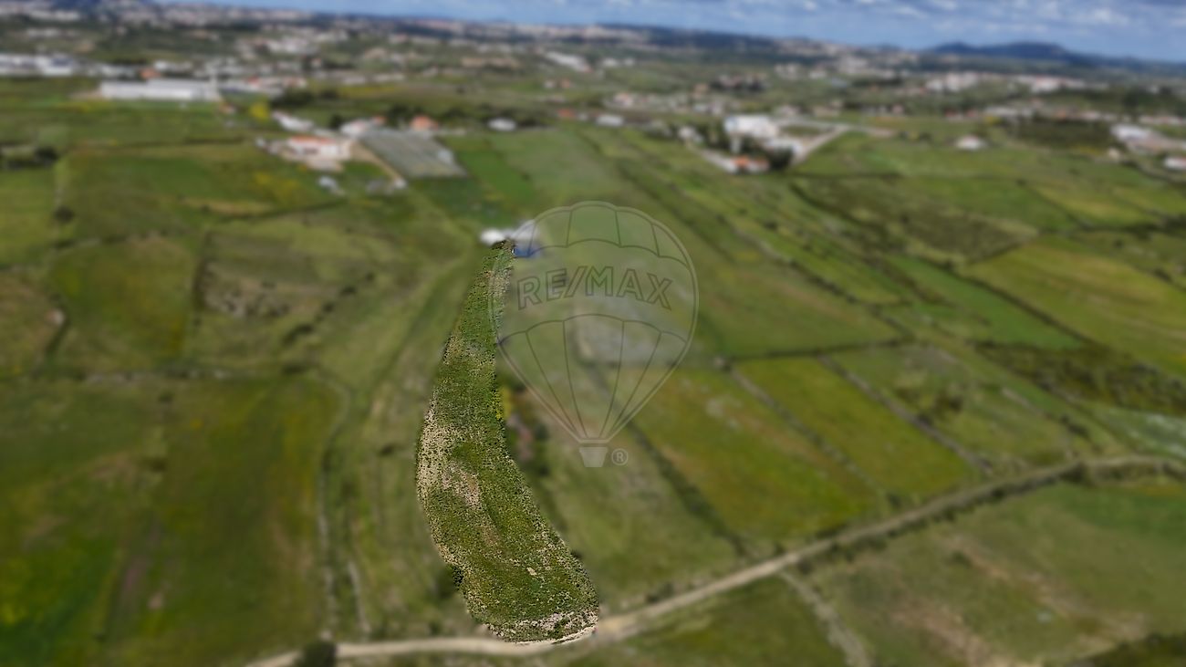 Terreno - São João das Lampas e Terrugem, Sintra, Lisboa