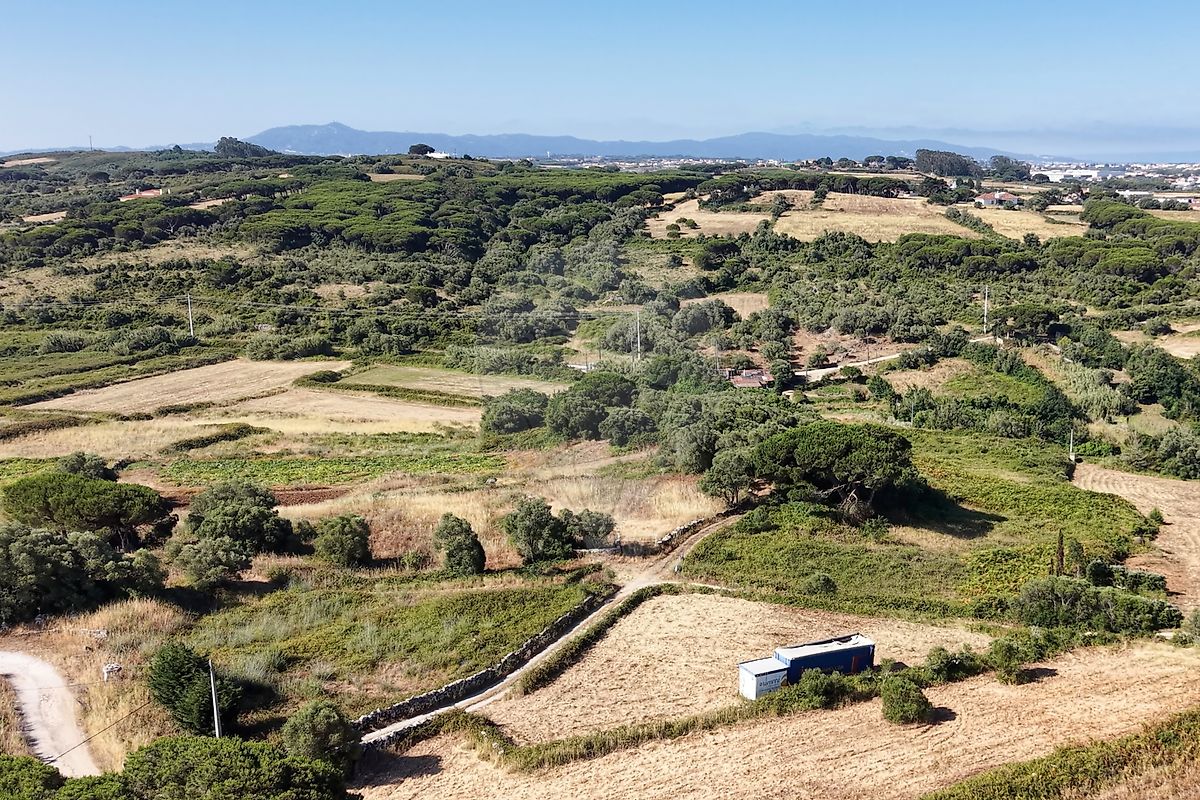 Terreno à venda em Sintra
