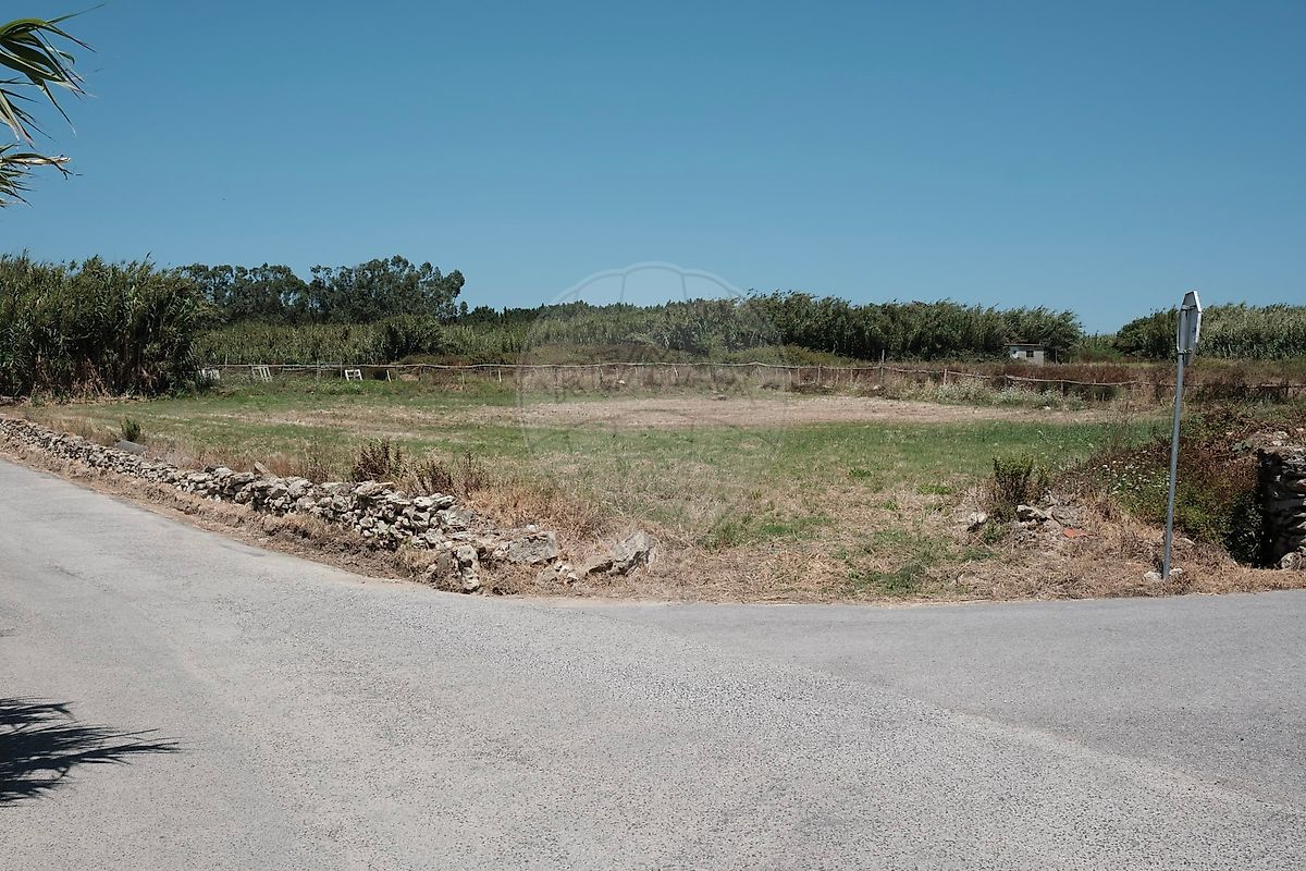 Terreno para arrendar em Sintra