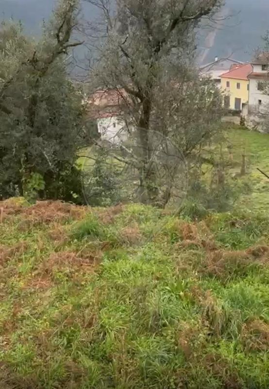 TODO