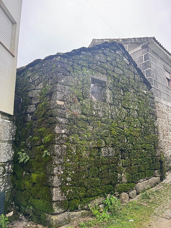Terreno  para venda