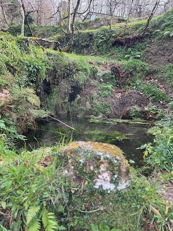Moradia T2 à venda em Carvalho e Basto (Santa Tecla), Celorico de Basto — foto 14
