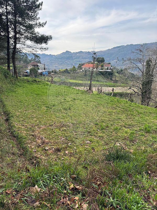 Moradia T2 à venda em Carvalho e Basto (Santa Tecla), Celorico de Basto — foto 12