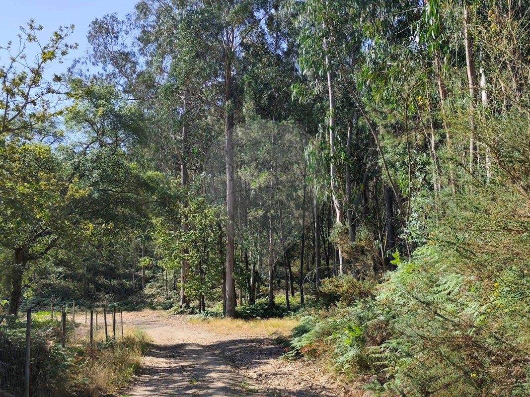 Terreno  para venda