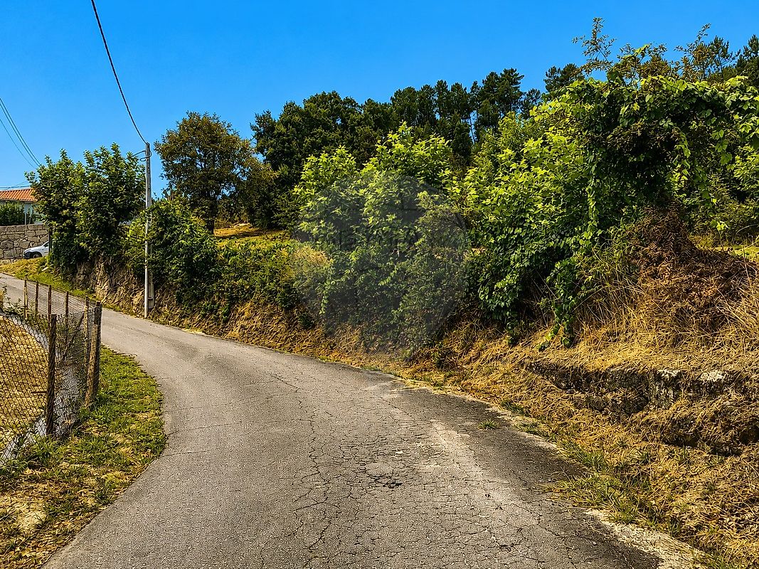 Terreno - Ribas, Celorico de Basto, Braga