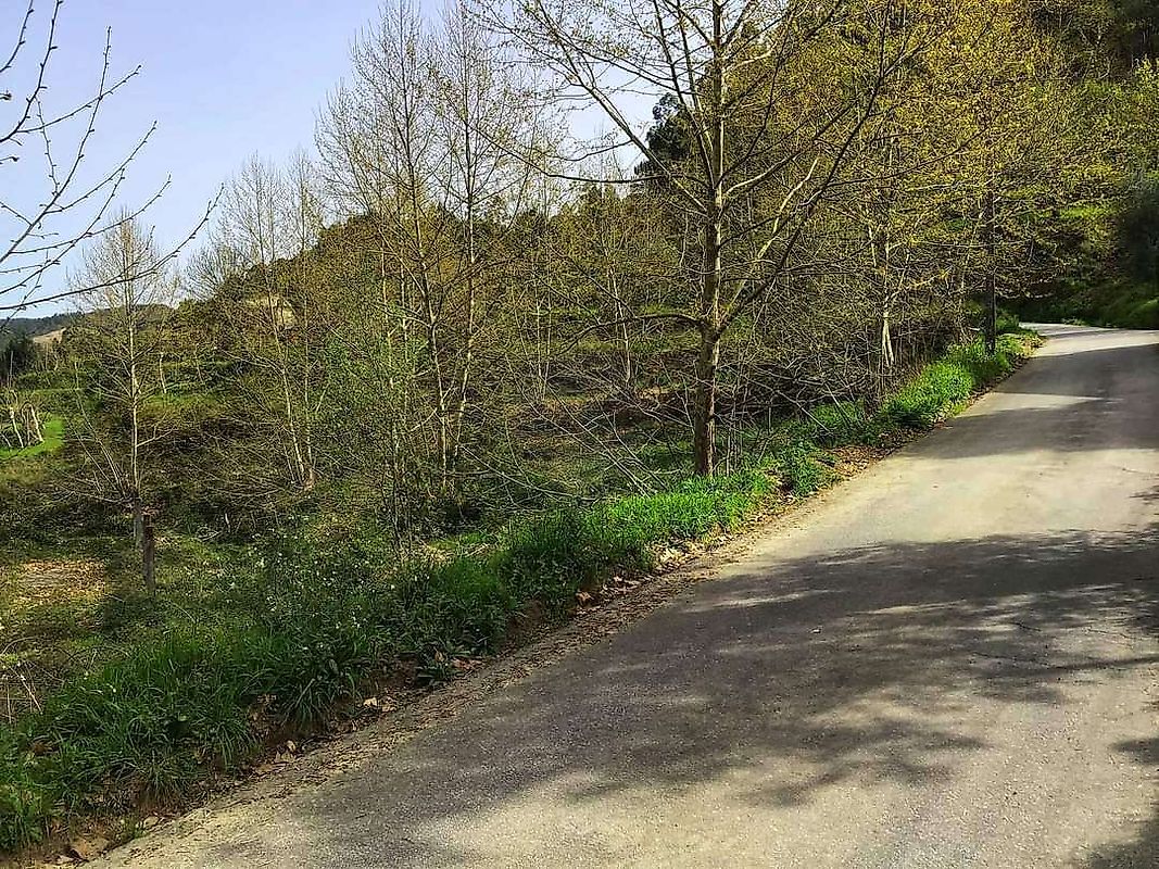 Outros - Habitação para venda