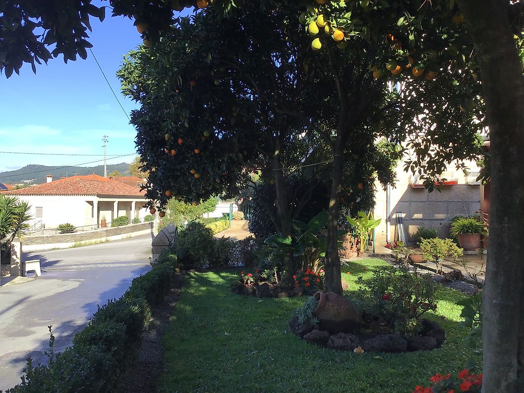 Moradia T6+ à venda em Atei, Mondim de Basto — foto 37
