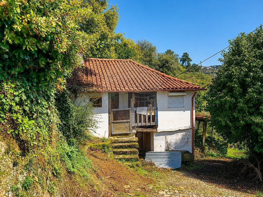 Moradia - Ribas, Celorico de Basto, Braga