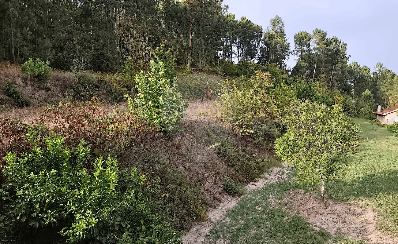 Moradia T3 à venda em Britelo, Gémeos e Ourilhe, Celorico de Basto — foto 13