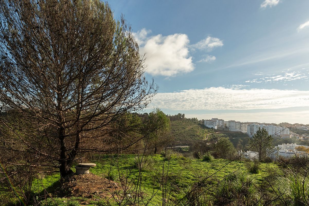 Terreno  à venda em Cobre