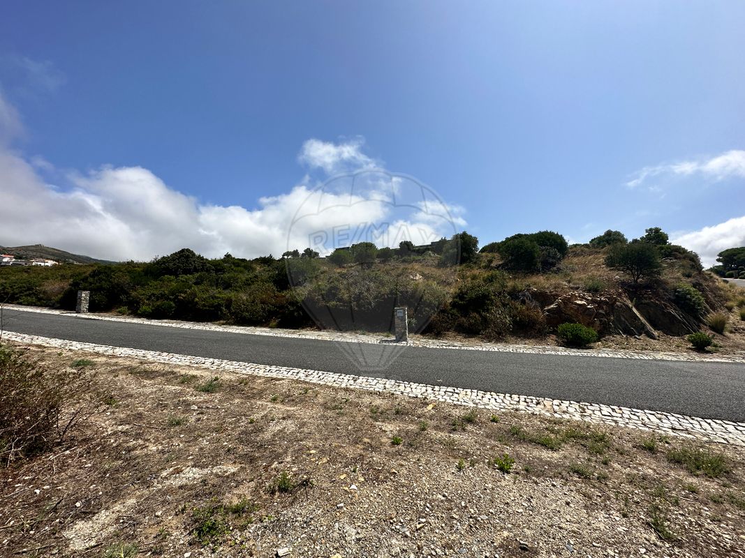 listing-picture-0