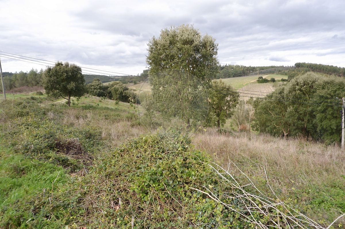 Terreno  à venda em Cadaval
