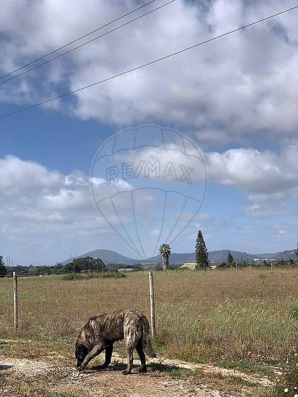 Land for sale in Palmela, Portugal — €1,150,000