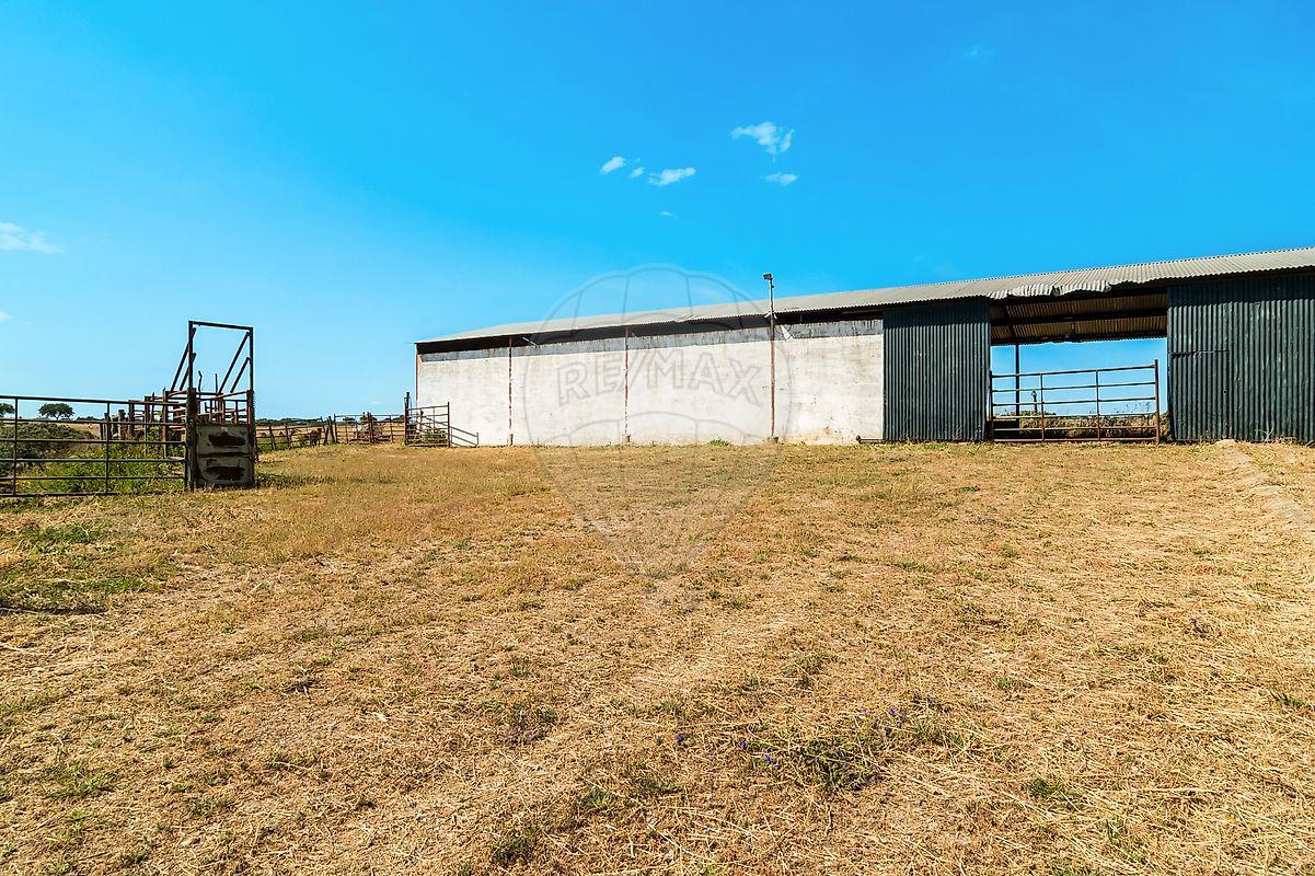 listing-picture-0