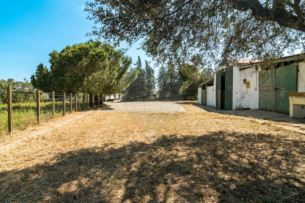 listing-picture-0