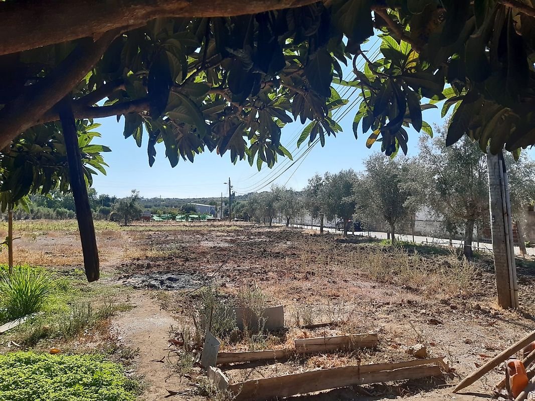 Terreno em Reguengos de Monsaraz