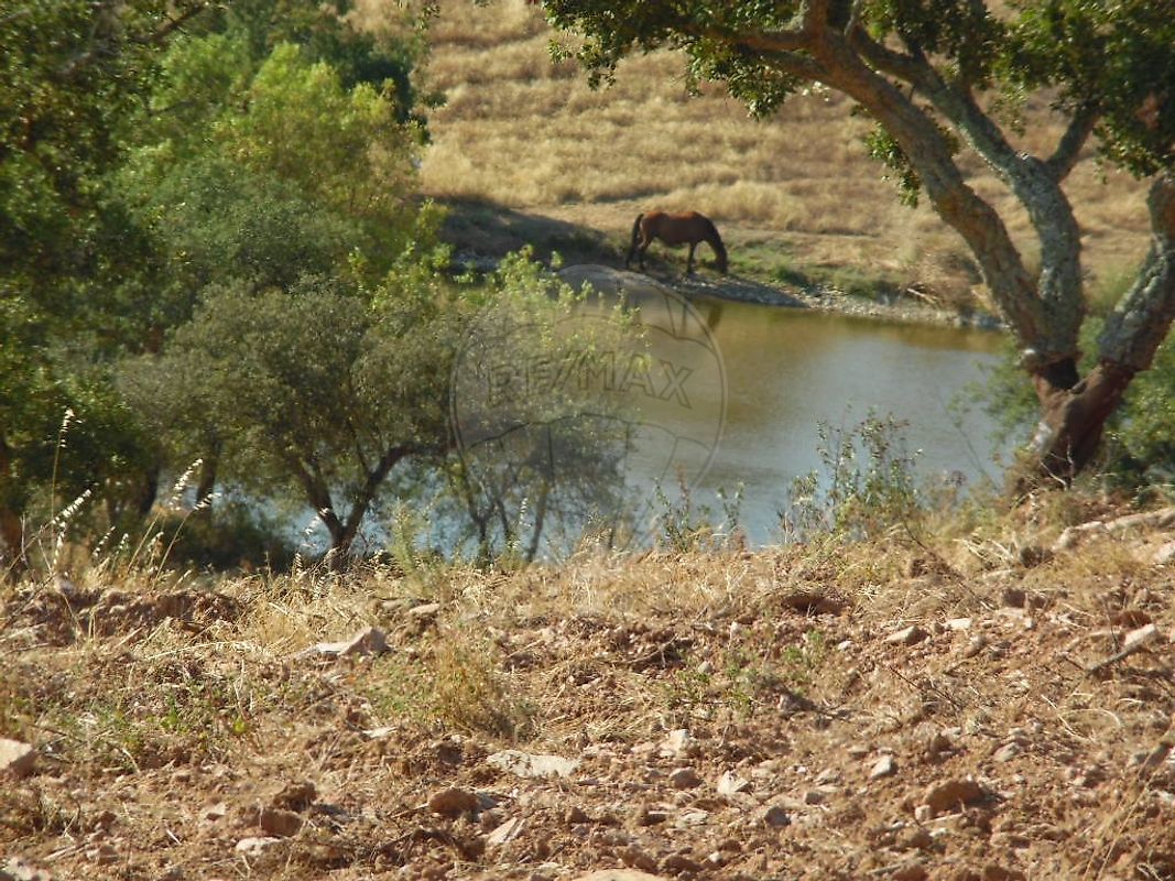 Terreno para venda