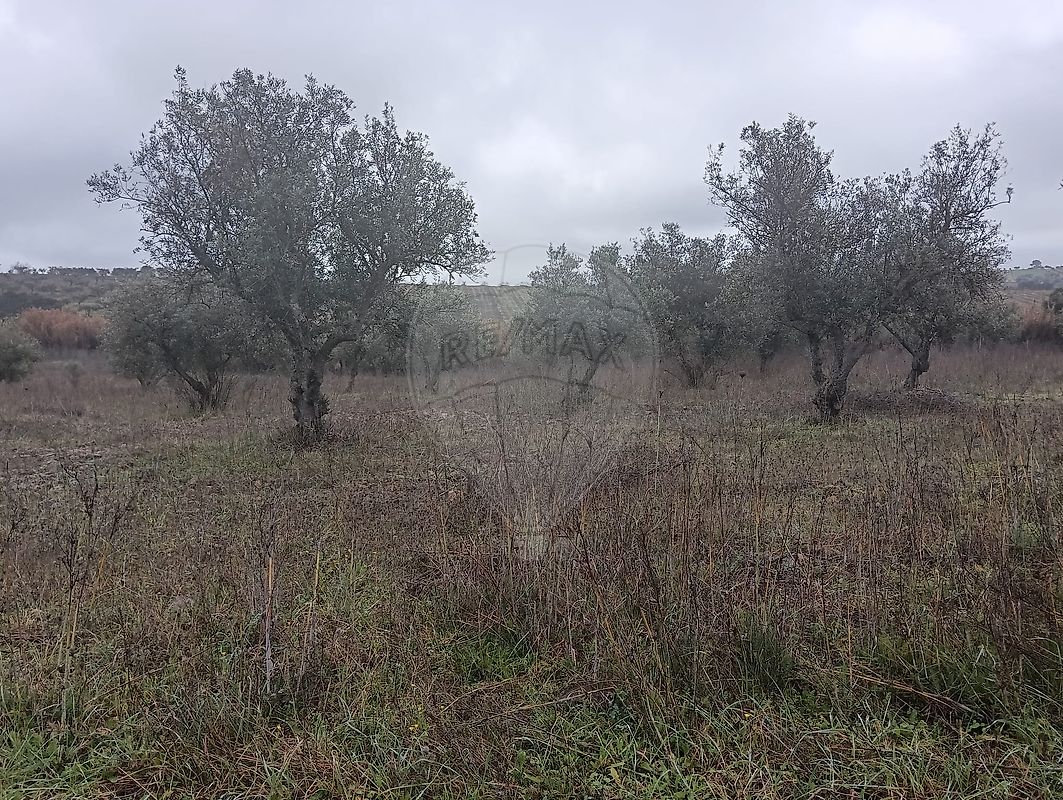 Terreno para venda