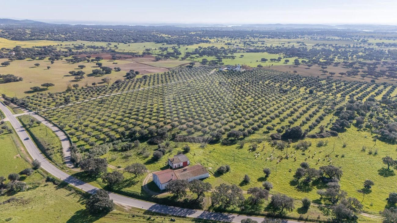 Herdade para venda