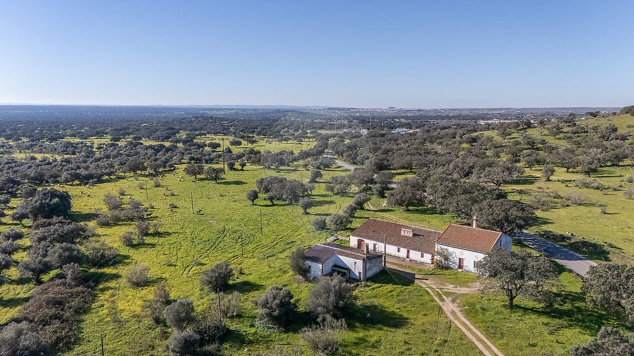 Herdade  para venda