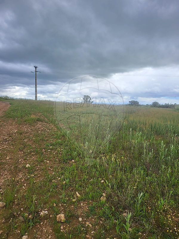Terreno para venda
